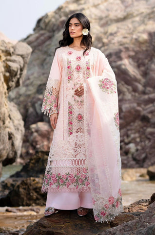 Daisy Lawn DL - 009