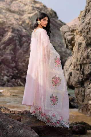 Daisy Lawn DL - 009