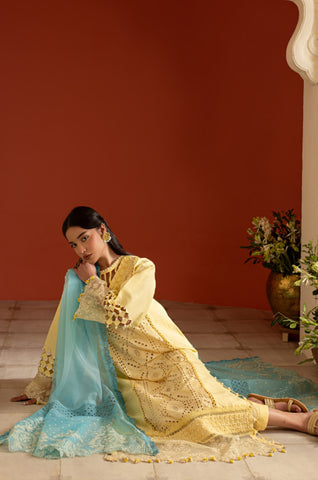 Ruskh Lawn RL-10
