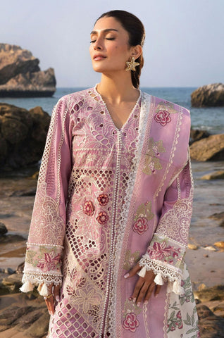 Daisy Lawn DL - 004