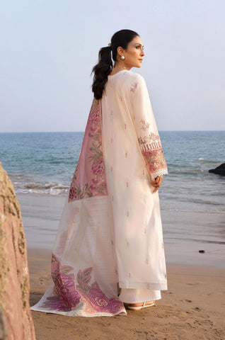 Daisy Lawn DL - 002